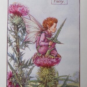 (Thistle) Barker, Cecily Mary, Flower Fairy, London 1910-25