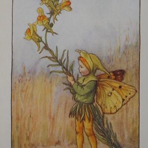 (Toad Flax Fairy) Barker, Cecily Mary, Flower Fairy, London 1910-25