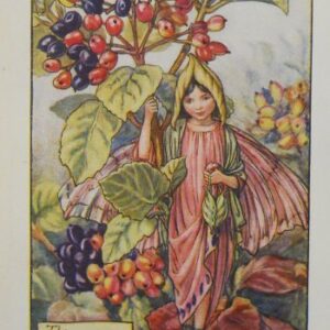 (Wayfaring Tree Fairy) Barker, Cecily Mary, Flower Fairy, London 1910-25,