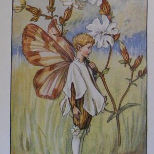 (White Campion Fairy) Cecily Mary Barker. Flower Fairies