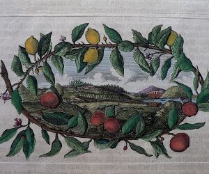 (Garlanded View) German, 17th or 18th century