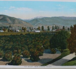 (Pomona Valley) Sunset Route... Chicago: Curt Teich & Co., ca. 1920