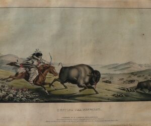 Buffalo Hunt. History of the Indian Tribes... Philadelphia, 1836-44