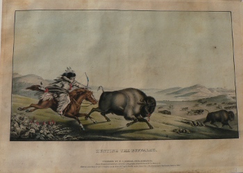 Buffalo Hunt. History of the Indian Tribes... Philadelphia, 1836-44