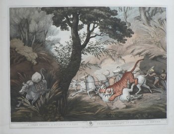 (Tiger) Oriental Field Sports...) London: T. McLean, 1819