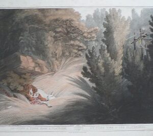 (Tiger) Oriental Field Sports... London: T. McLean, 1819