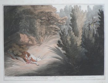 (Tiger) Oriental Field Sports... London: T. McLean, 1819