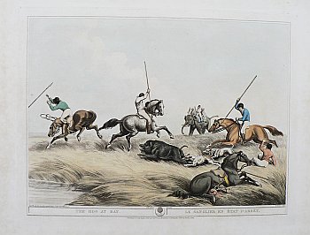 (The Hog) Oriental Field Sports. London: T. McLean, 1819