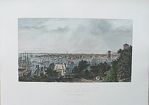 (New York City) Appleton & Co. 1872