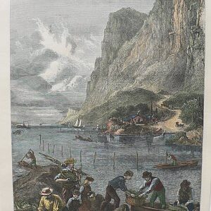 (Shad Fishing) Illustrated London News. London, 1875