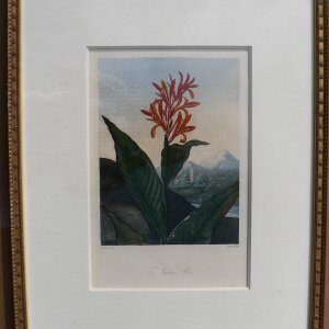 (Indian Reed) Temple of Flora. London, 1812.