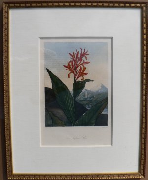 (Indian Reed) Temple of Flora. London, 1812.