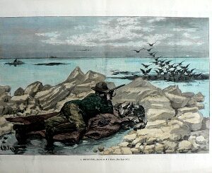 (Waterfowl Hunting) New York: Harper's Weekly, 1884