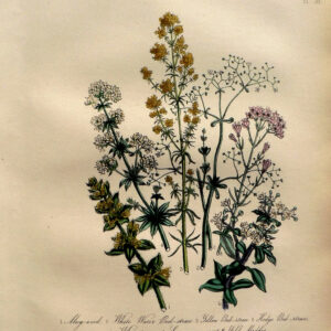 bouquet of yellow, pink and white wildflowers