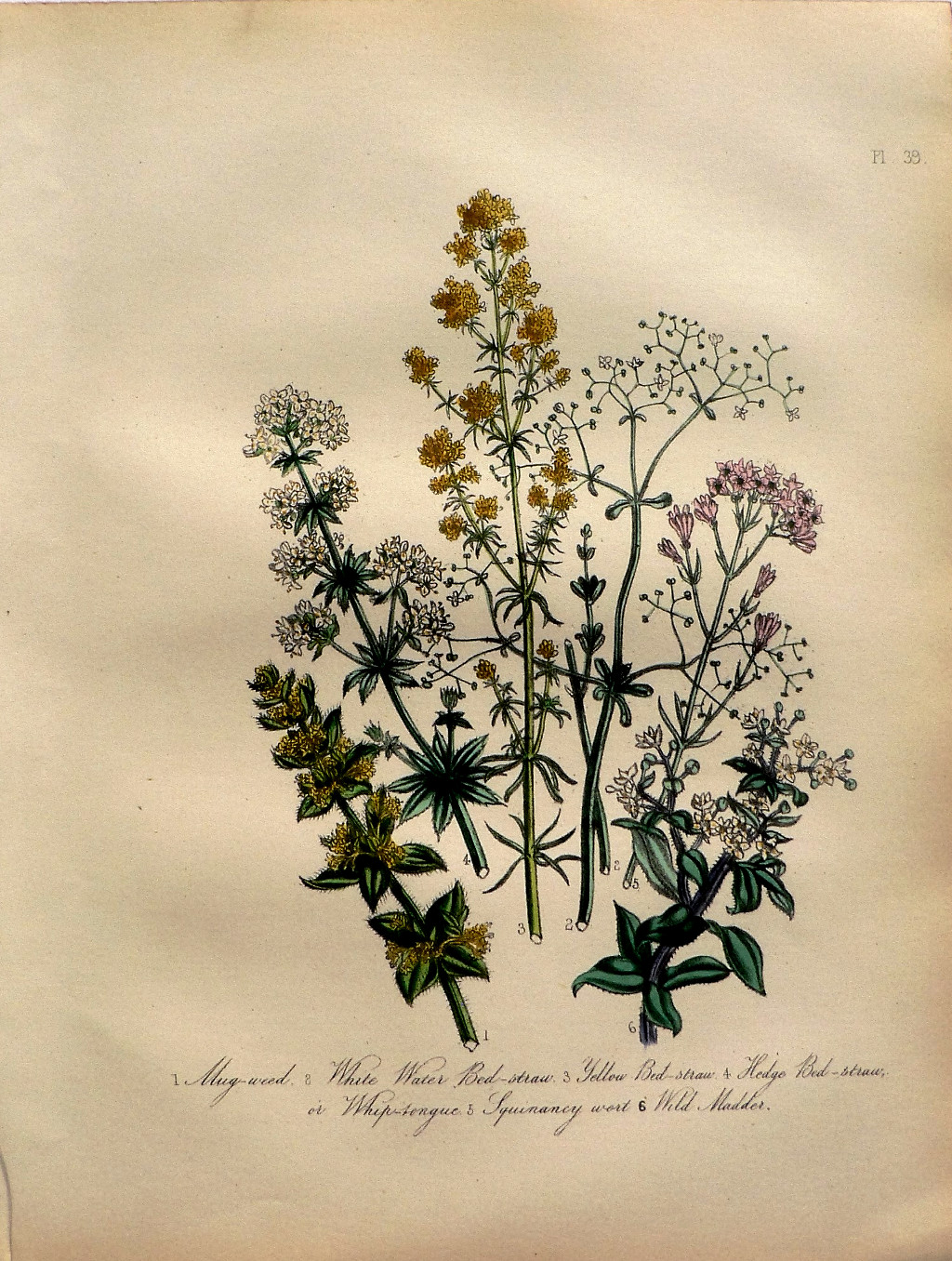 bouquet of yellow, pink and white wildflowers