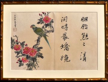 click for detailed image ChineseWCParrotFrVLG.JPG