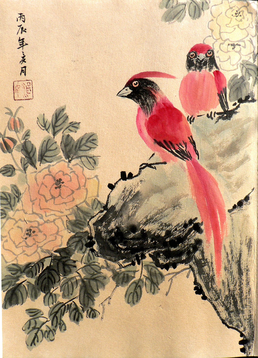 Fine Antique Prints: botanicals, birds, animals, views, maps, 