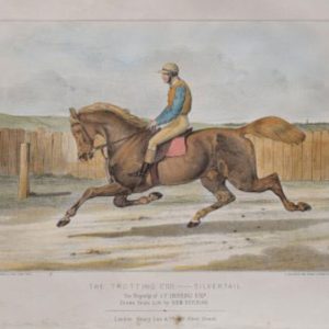 Fine Aantique Prints trotting cobb