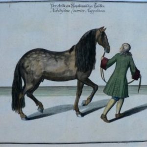 William Cavendish. (Horsemanship) Plate 8 La Methode et Invention Nouvelle… Antwerp, (1657)