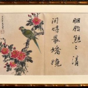 Chinese Natural History Watercolors