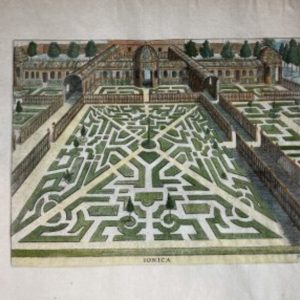 Hans Vredeman de Vries ( Pl 7 Ionica ) Hortorvm viridariorvmqve. Amsterdam 1583