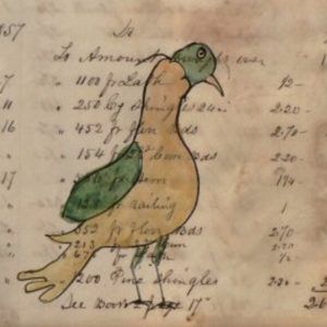 (Yellow and Green Dove) Watercolor and ink on paper