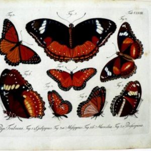 CLVIII ...Schmetterlinge. Berlin, 1783-1806