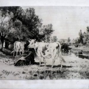 Peter Moran. On the Neshaminy. Etching. ca, 1886