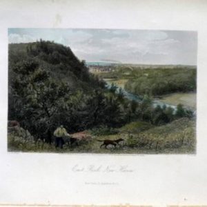 (New Haven) New York: Appleton & Co., 1874