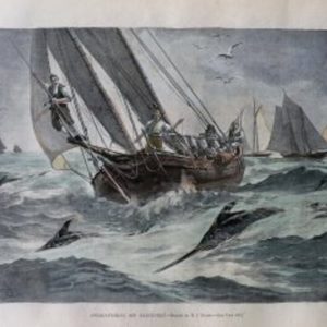 (Swordfishing) Sword-fishing off Nantucket. ca. 1894