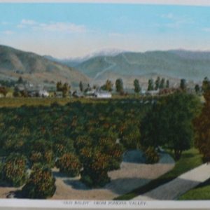 (Pomona Valley) Sunset Route... Chicago: Curt Teich & Co., ca. 1920