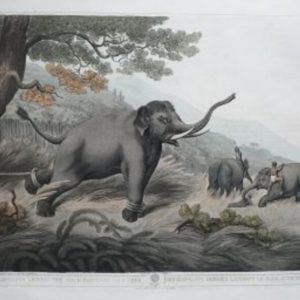 Oriental and Foreign Field Sports