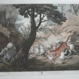 (Tiger) Oriental Field Sports...) London: T. McLean, 1819