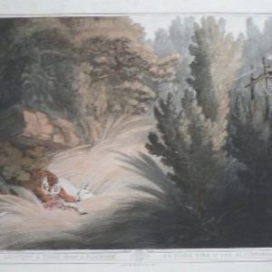 (Tiger) Oriental Field Sports... London: T. McLean, 1819