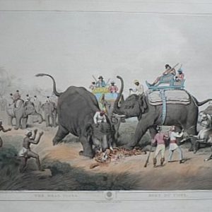 (Tiger) Oriental Field Sports...London: T. McLean, 1819